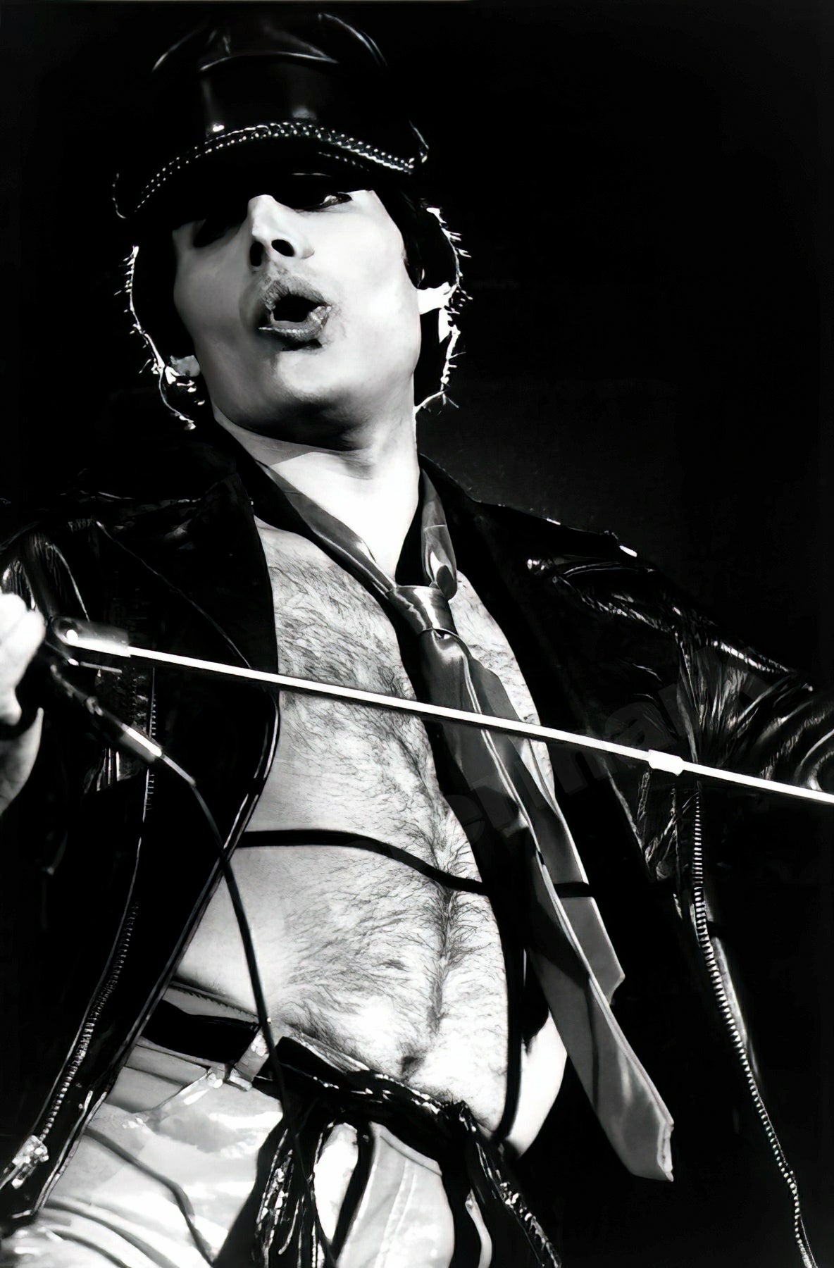 Freddie Mercury Rocking Out On Stage B&W Photo - Celebrity Musicians