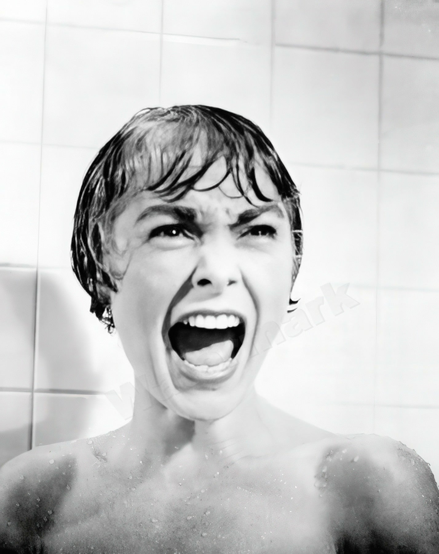 Janet Leigh Famous Scream In Psycho B&W Photo - Celebrity Actresses