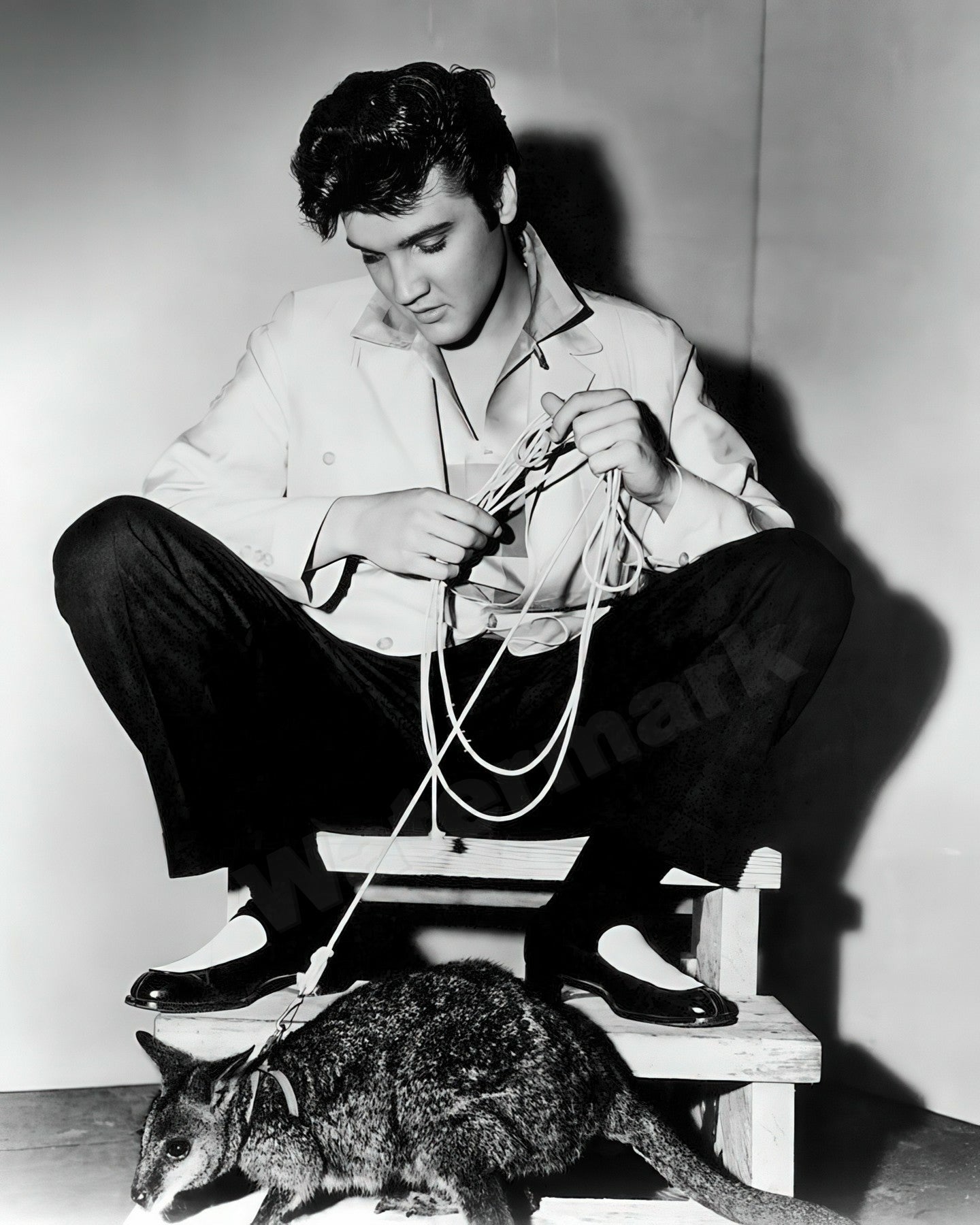 Elvis Presley The King With His Kangaroo B&W Photo - Celebrity Actors and Musicians