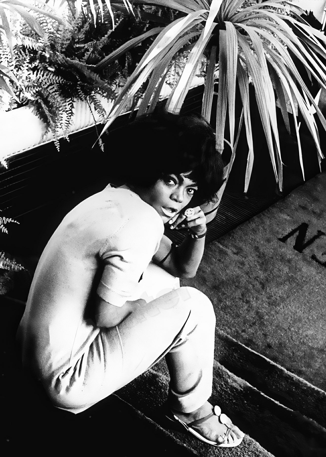 Eartha Kitt On Steps B&W Photo - Celebrity Actresses and Musicians