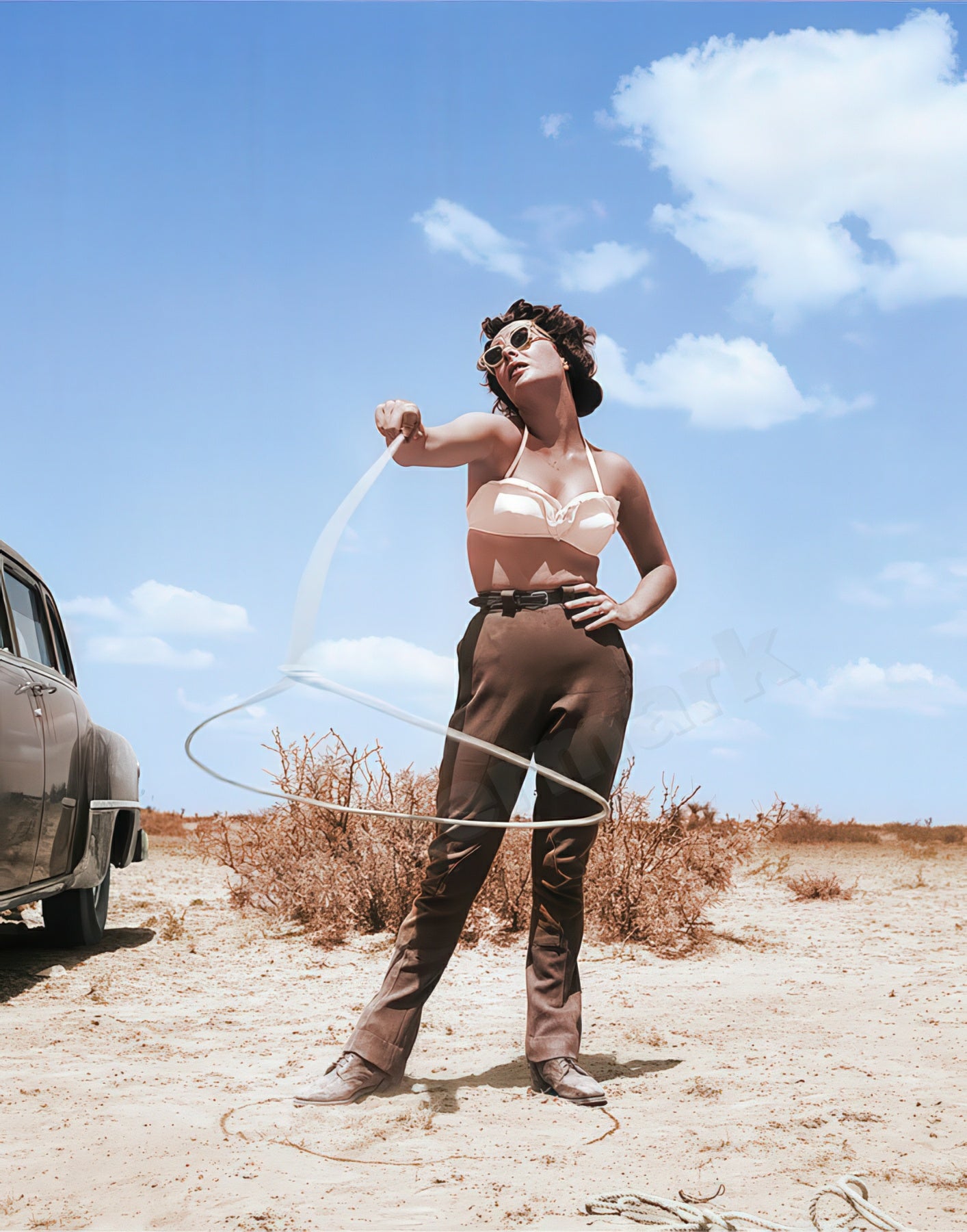 Elizabeth Taylor With Lasso Vintage Photo - Celebrity Actresses
