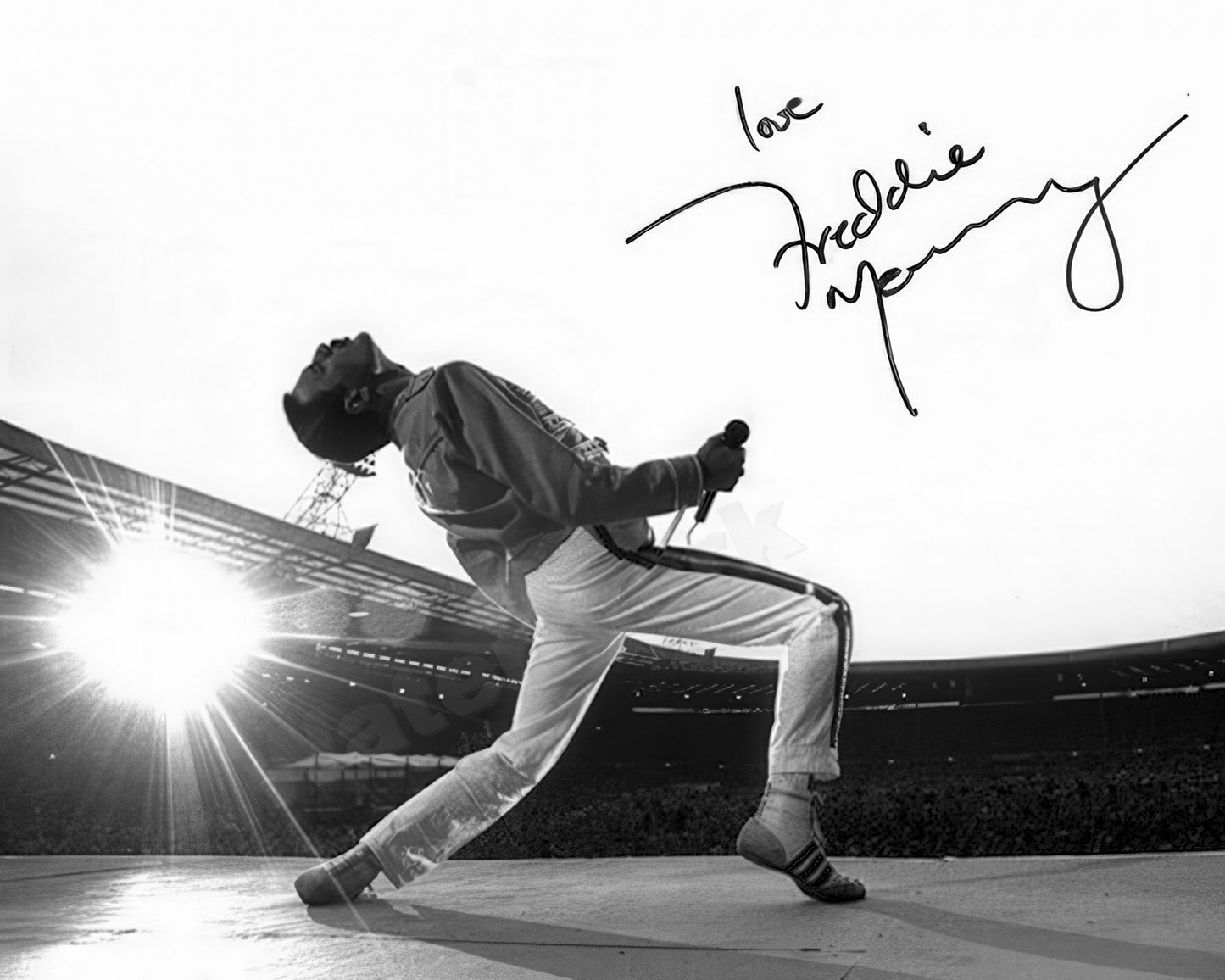Freddie Mercury Queen Autographed Signed Reprint B&W Photo - Celebrity Musicians