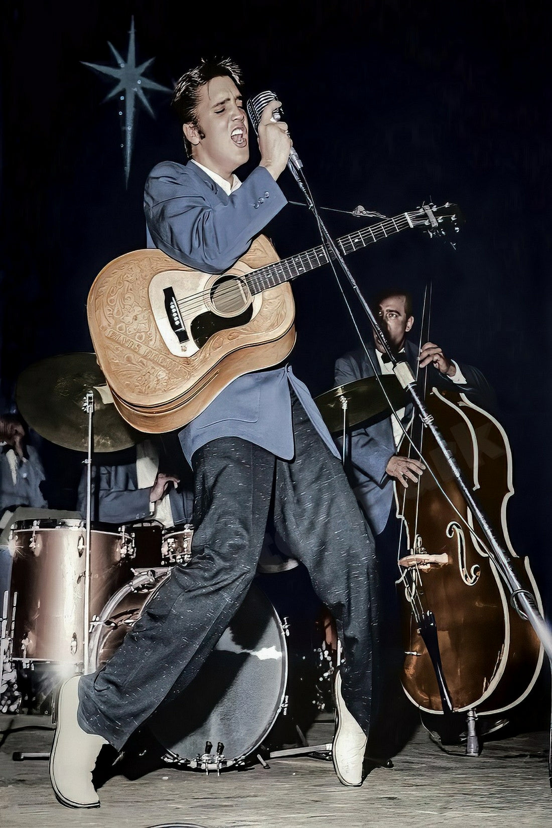 Elvis Presley Rocking Out On Stage Photo - Celebrity Musicians
