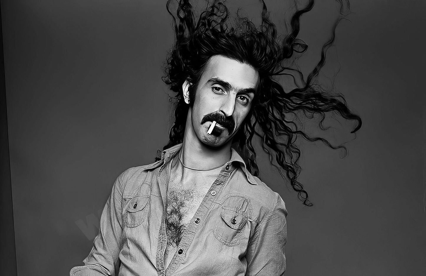 Frank Zappa B&W Photo - Celebrity Musicians