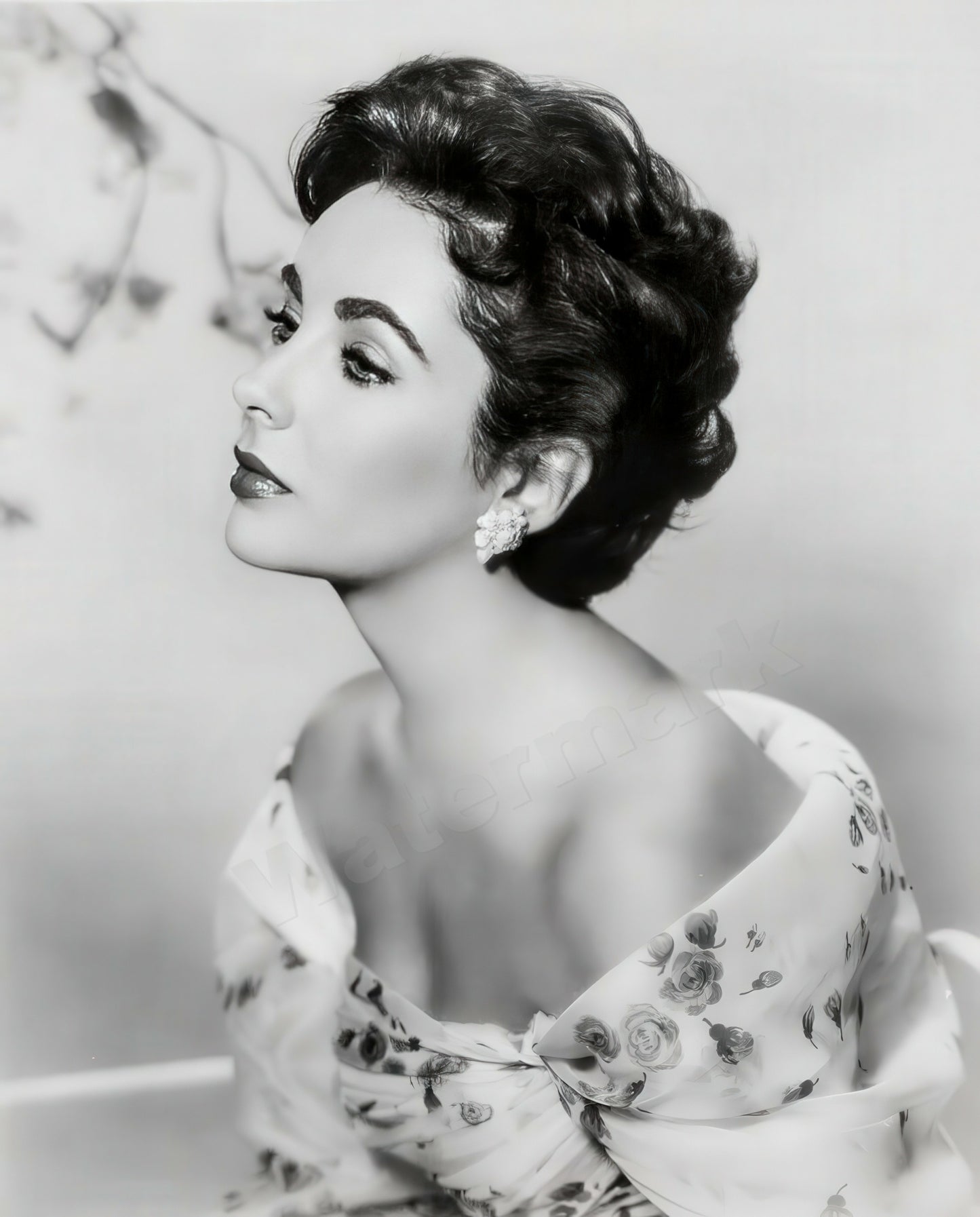 Elizabeth Taylor c. 1956 studio portrait B&W Photo - Celebrity Actresses