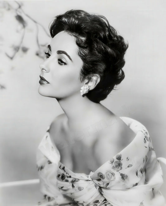 Elizabeth Taylor c. 1956 studio portrait B&W Photo - Celebrity Actresses