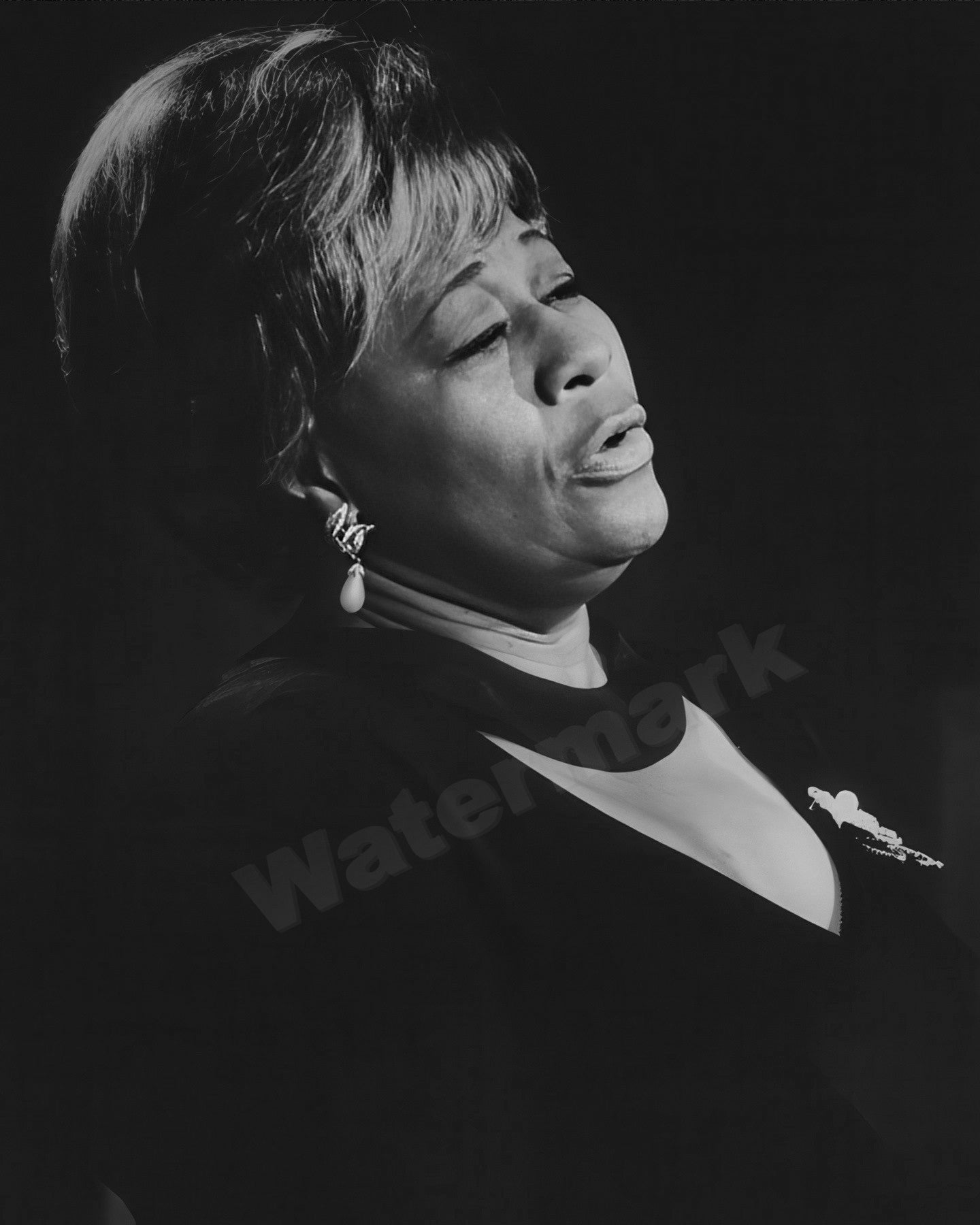 Ella Fitzgerald The Queen Of Jazz B&W Photo - Celebrity Musicians