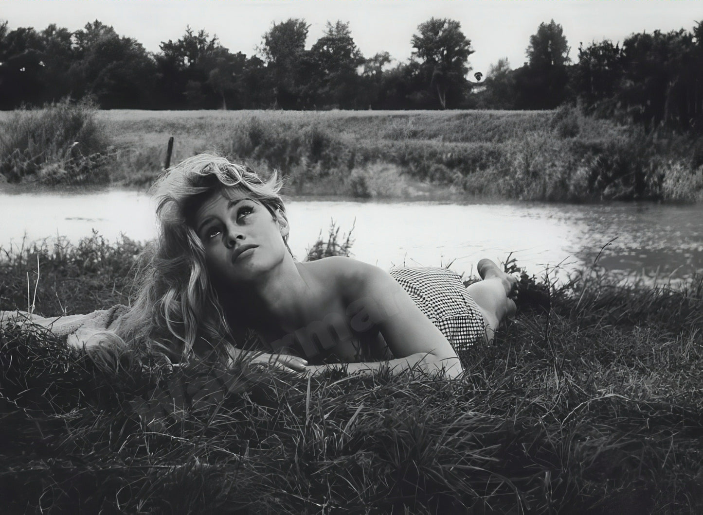 Brigitte Bardot Lying In Grass B&W Photo - Celebrity Actresses