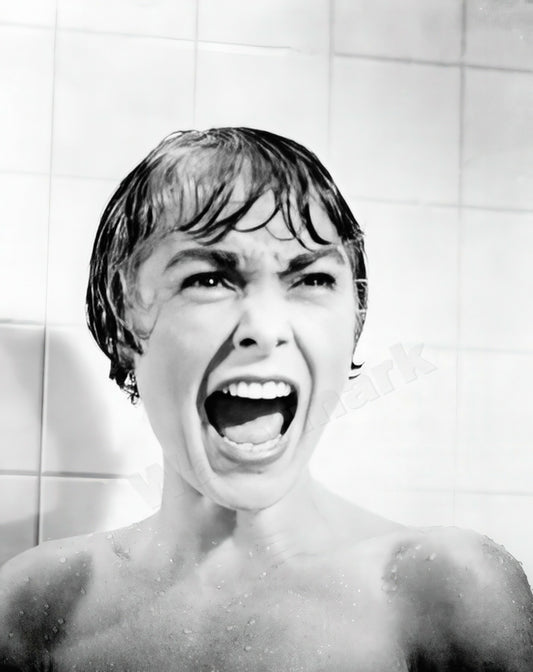 Janet Leigh Famous Scream In Psycho B&W Photo - Celebrity Actresses