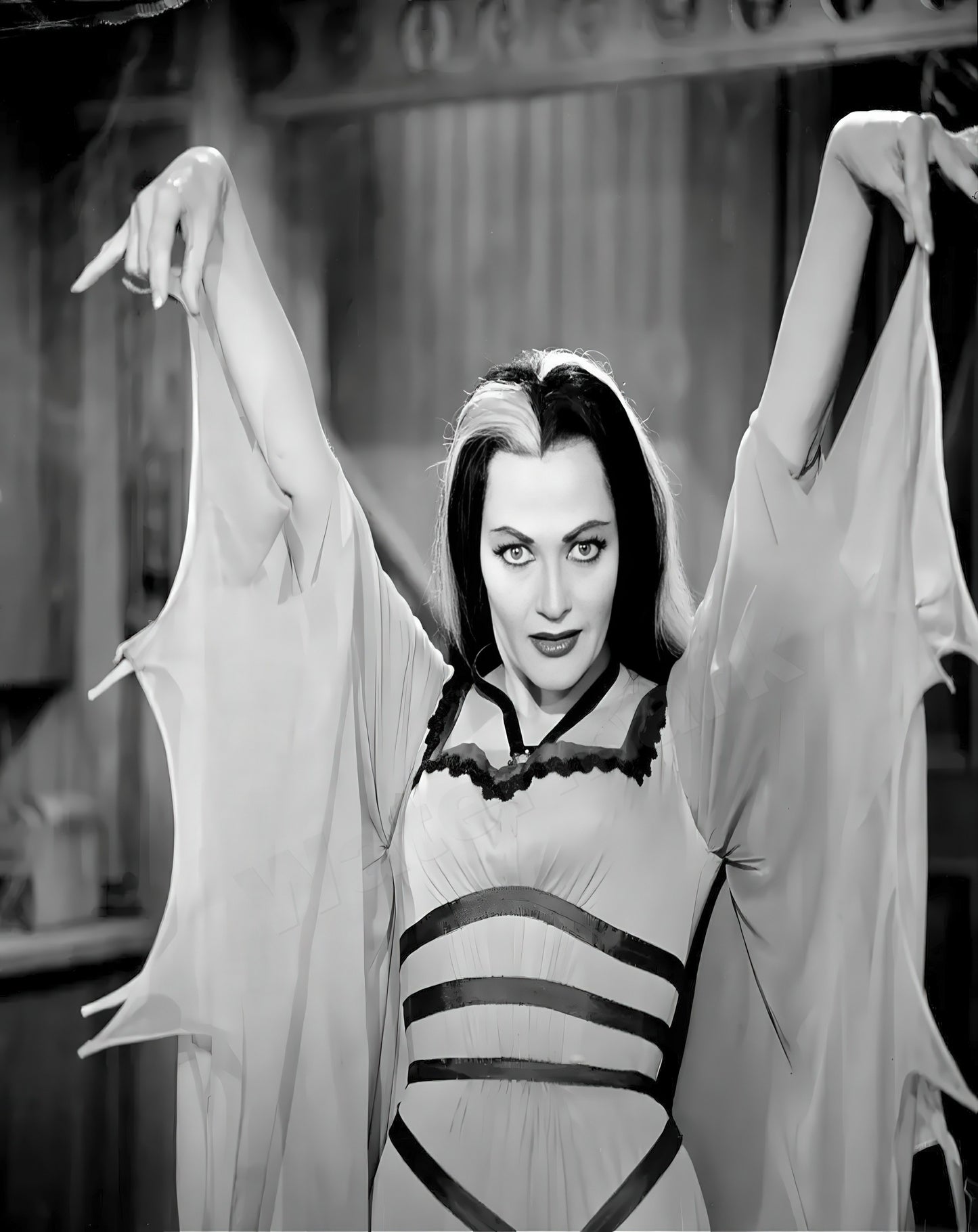 Lily Munster The Munsters 1964 B&W Photo - Celebrity Actresses