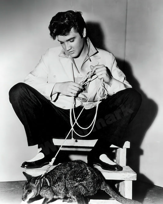 Elvis Presley The King With His Kangaroo B&W Photo - Celebrity Actors and Musicians