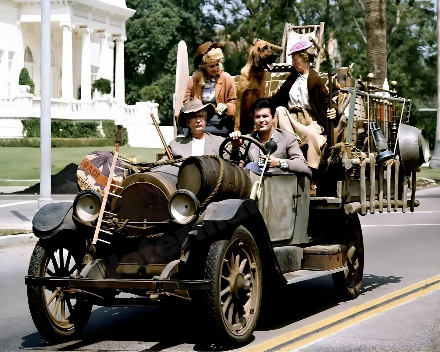 Beverly Hillbillies Cast Vintage Photo - Celebrity Actors and Actresses