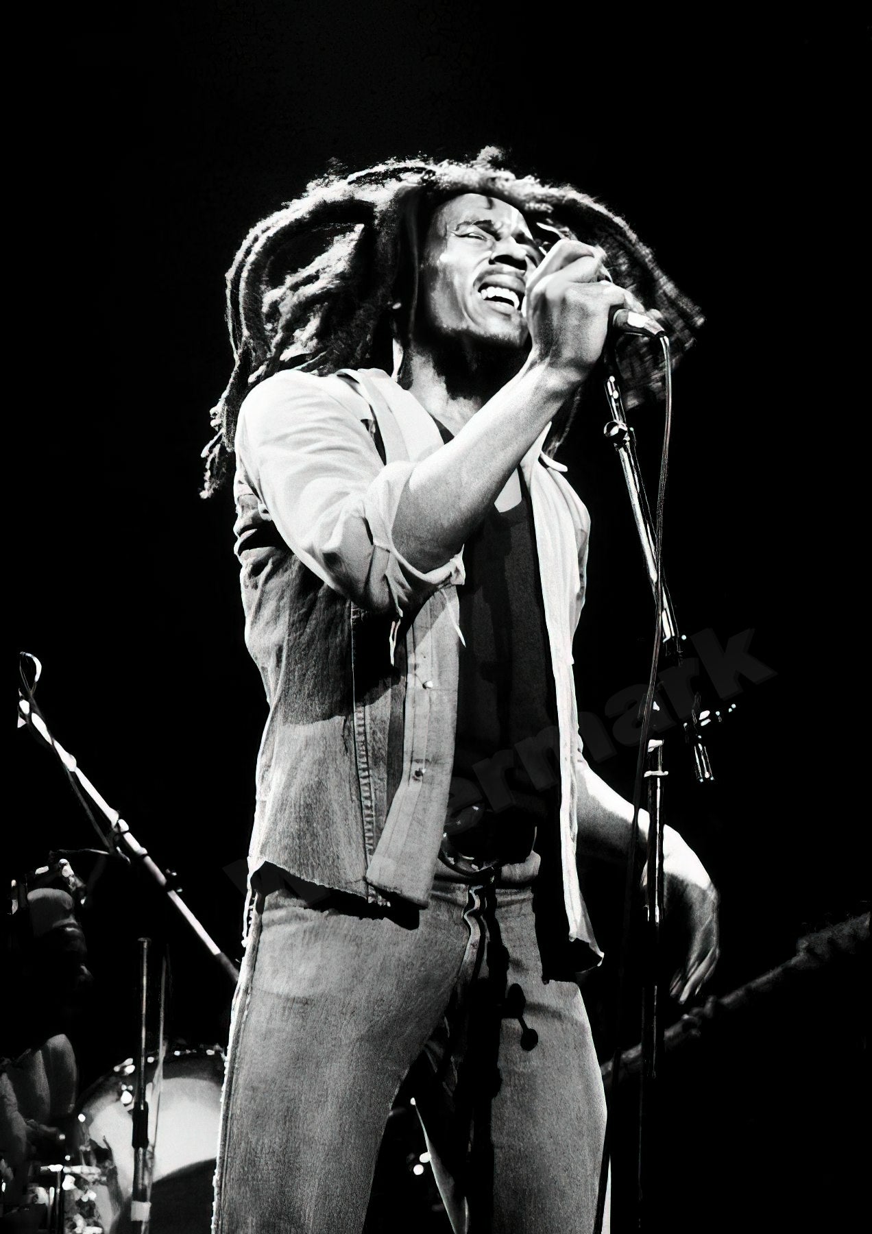 Bob Marley Singing On Stage B&W Photo - Celebrity Musicians