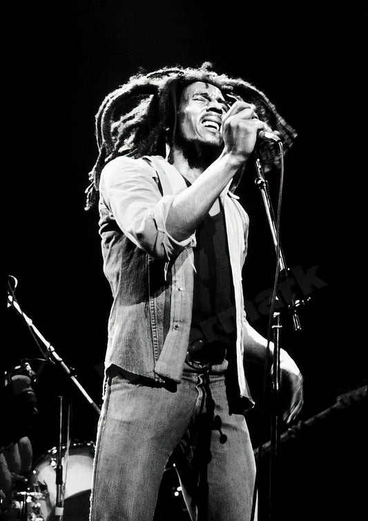 Bob Marley Singing On Stage B&W Photo - Celebrity Musicians