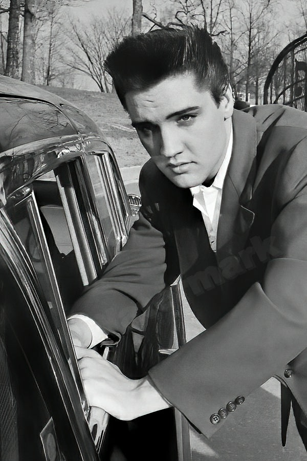 Elvis Presley The King Of Rock N' Roll B&W Photo - Celebrity Musicians