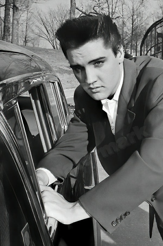 Elvis Presley The King Of Rock N' Roll B&W Photo - Celebrity Musicians